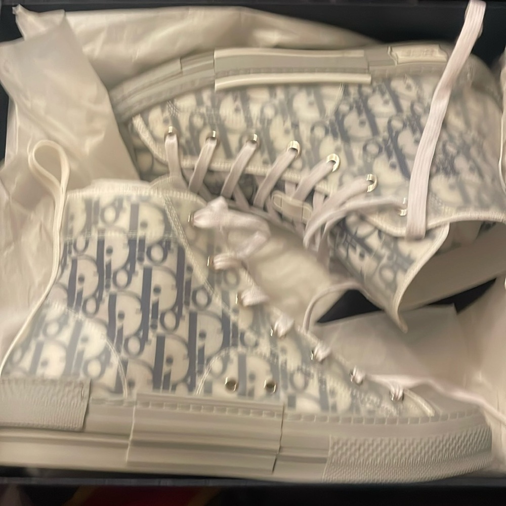 Dior hi tops